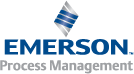 Emerson Process Management